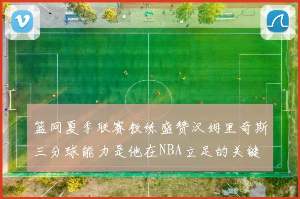 篮网夏季联赛教练盛赞汉姆里奇斯三分球能力是他在NBA立足的关键