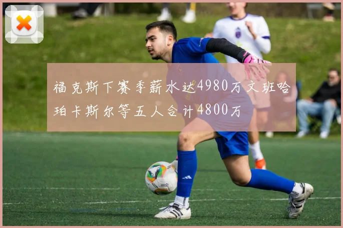 福克斯下赛季薪水达4980万文班哈珀卡斯尔等五人合计4800万